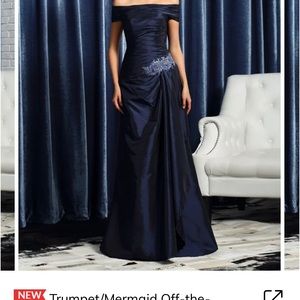 Evening gown / prom dress